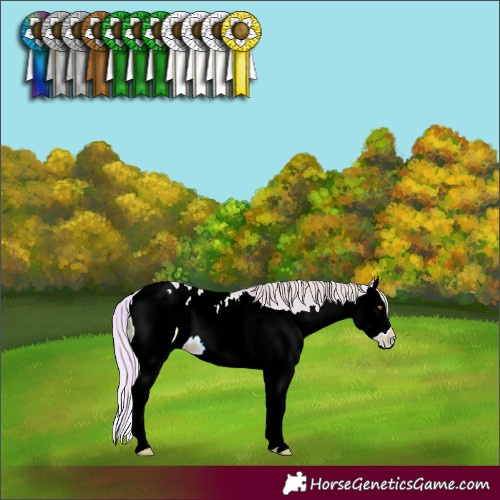 Horse Color:ERROR: UNKNOWN ANOMALY