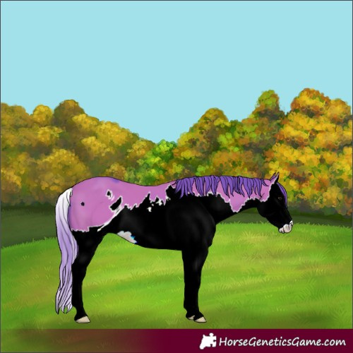 Horse Color:ERROR: UNKNOWN ANOMALY