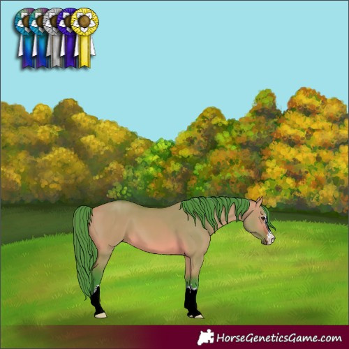 Horse Color:Watercolor Bay Dun 