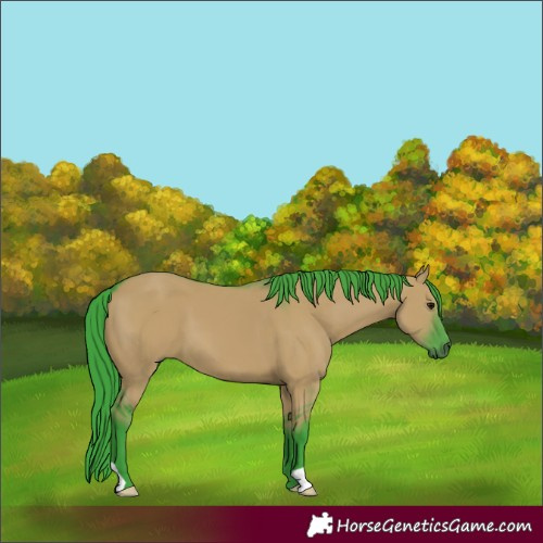 Horse Color:Watercolor Grullo 