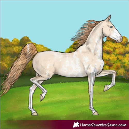 Horse Color:Smoky Grullo Pearl Sabino 