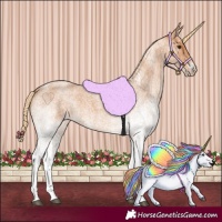 Horse Color:White Spotted Red Roan 