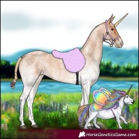 Horse Color:White Spotted Red Roan