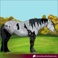 Horse Color:ERROR: UNKNOWN ANOMALY