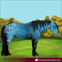 Horse Color:ERROR: UNKNOWN ANOMALY