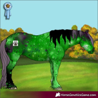 Horse Color:ERROR: UNKNOWN ANOMALY