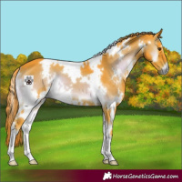 Horse Color:Watercolor White Spotted Liver Red Onyx