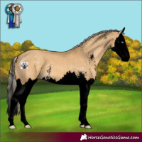 Horse Color:Void Palomino Dun Sabino Splash