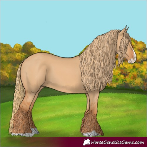 Horse Color:Red Dun Splash