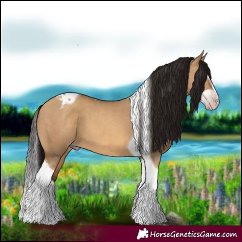 Horse Color:Gray Amber Champagne Dun Splash Tobiano 