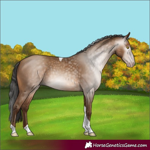 Horse Color:Gray Amber Champagne Tobiano 