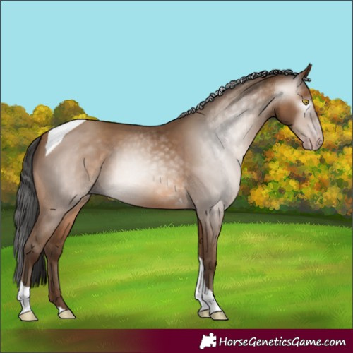 Horse Color:Gray Amber Champagne Tobiano