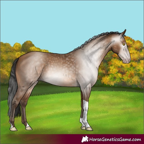 Horse Color:Gray Amber Champagne Tobiano 