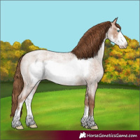 Horse Color:Brown Roan Pearl Sabino Frame Varnish 