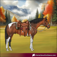 Horse Color:Bay Tobiano 