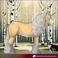 Horse Color:Gold Cream Champagne 