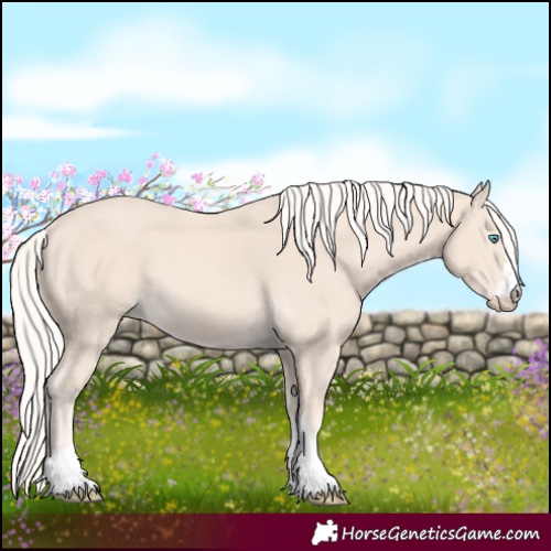 Horse Color:Cremello