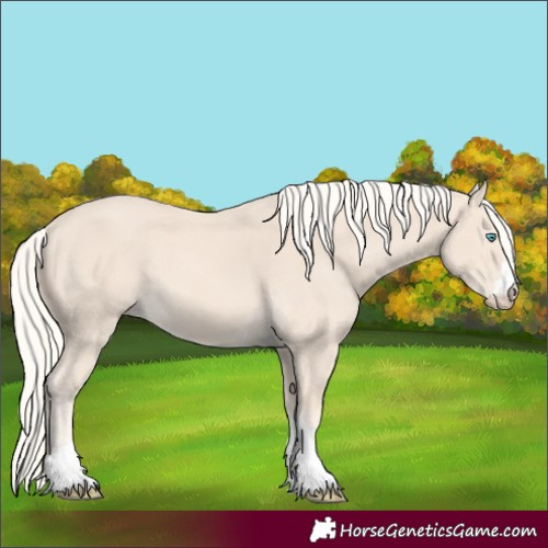 Horse Color:Cremello 