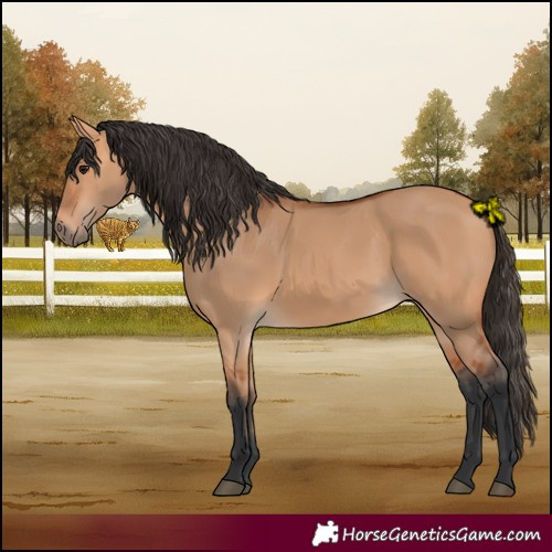 Horse Color:Bay Dun