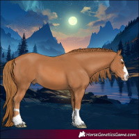 Horse Color:Chestnut 