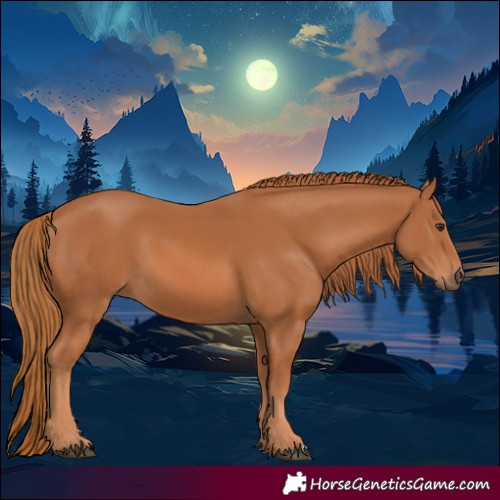 Horse Color:Chestnut 