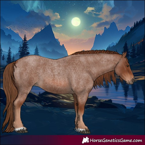 Horse Color:Red Roan 