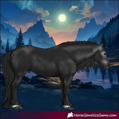 Horse Color:Gray Black 