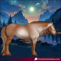 Horse Color:Gray Chestnut 