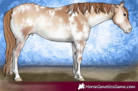 Horse Color:White Spotted Blue Onyx Pearl 