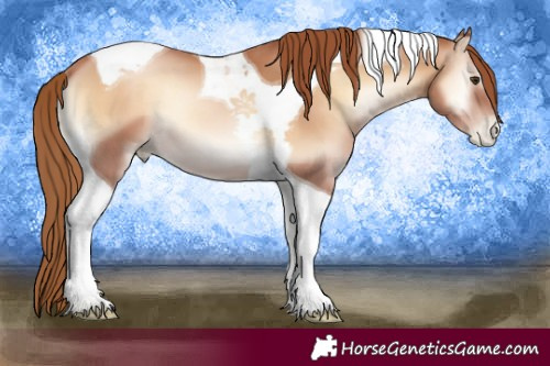 Horse Color:Red Onyx Pearl Tobiano 