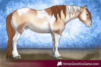 Horse Color:Red Onyx Pearl Tobiano 