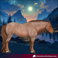 Horse Color:Red Roan 