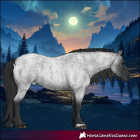 Horse Color:Blue Roan