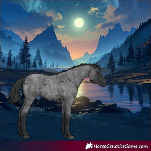 Horse Color:Blue Roan 