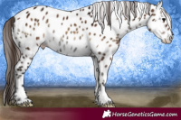 Horse Color:Bay Ice Onyx Leopard
