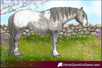 Horse Color:Liver Red Onyx Ice Snowcap 
