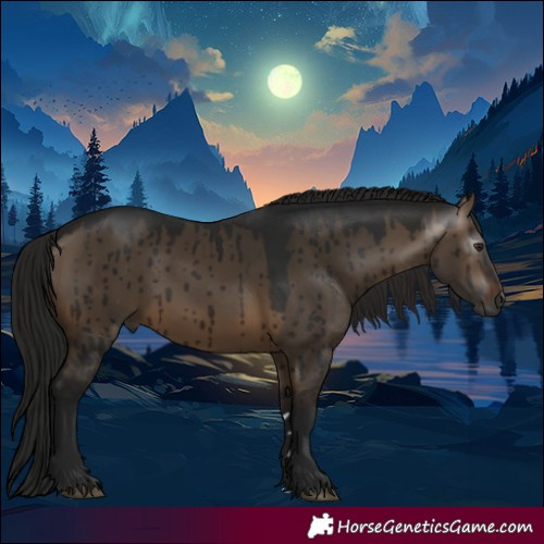 Horse Color:Gray Brown Dun Brindle 