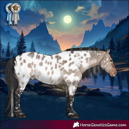 Horse Color:White Spotted Brown Dun Appaloosa Rabicano Brindle 