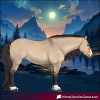 Horse Color:Bay Dun
