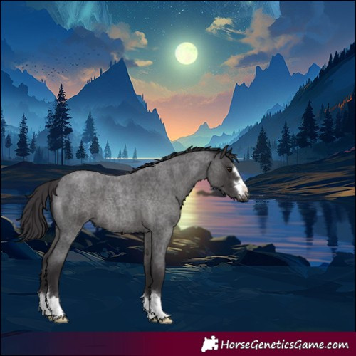 Horse Color:Smoky Blue Roan 