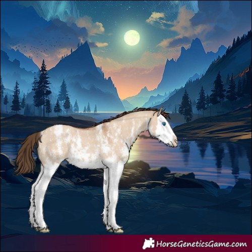Horse Color:Bay Dun Sabino Splash Varnish 