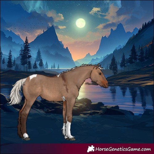 Horse Color:Silver Brown Dun Tobiano 