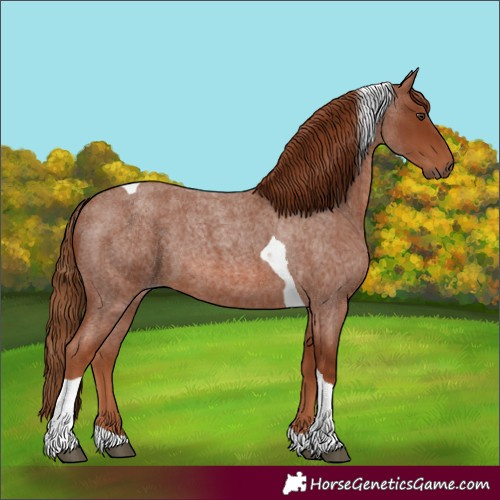 Horse Color:Red Roan Tobiano 