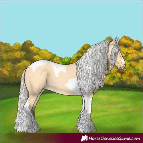 Horse Color:Silver Buckskin Dun Tobiano 