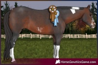 Horse Color:Brown Sabino Tobiano