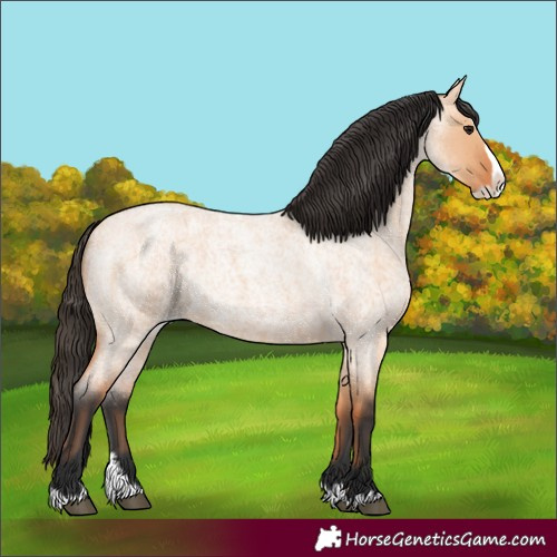 Horse Color:Bay Roan Dun Splash