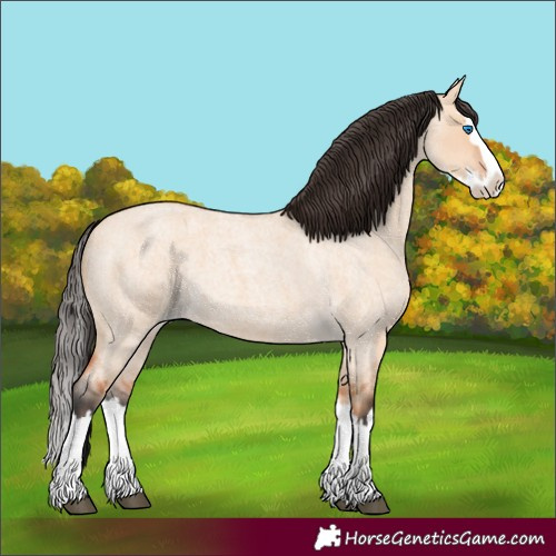 Horse Color:Bay Roan Dun Splash