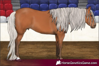 Horse Color:Silver Bay 