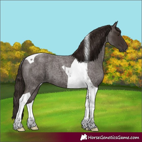 Horse Color:Liver Red Roan Tobiano