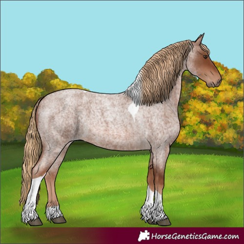 Horse Color:Red Roan Tobiano 